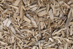 biomass boilers Glororum